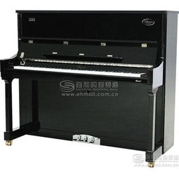 高性價(jià)比樂器價(jià)格解析 16610元與16840元商品對(duì)比及選購指南